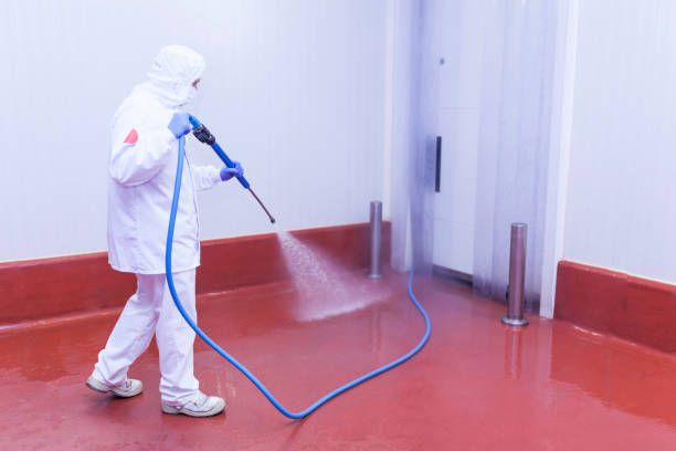 Trusted Newman, CA Pressure Washing Experts