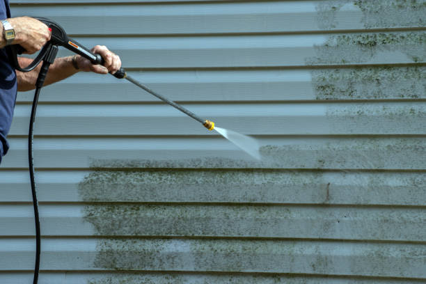 Best House Exterior Washing  in Newman, CA